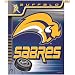 Wincraft Buffalo Sabres 27x37 Vertical Flag