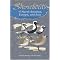 Birds (Shorebirds)