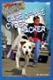 Case of the Cyber-Hacker (Wishbone Mysteries No. 19)