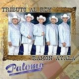 Palomo -  Tributo Al Rey: Las 15 Grandes