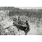 Gathering Water lilies photogravure (Print On Demand)