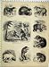 Bear Hunting Malayan Bornean Syrian Brown Sloth Print