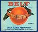 BELT BRAND ORANGE GOLD BUCKLE SAN BERNARDINO CALIFORNIA USA FRUIT CRATE LABEL PRINT REPRODUCTION
