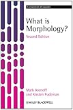 What is morphology?