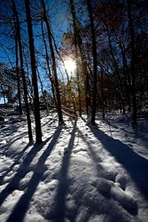 Sun Casts Shadows Through the Trees at Snowy Great Falls, Virginia - Evocative 16x20 Photographic Print by Brendan Reals