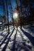Sun Casts Shadows Through the Trees at Snowy Great Falls, Virginia - Evocative 16x20 Photographic Print by Brendan Reals