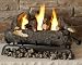 Real Flame 24-Inch Convert-to-Gel Log Set, Oak