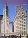 Chicago Architecture 1872-1922: Birth of a Metropolis