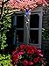 Sunlit Gifts Plant Hanger (10-inch Bluebird) / Bird Feeders Hook: Beautiful Hand Made Stained Glass (with Metal S Hooks) - Ornament Hangers for Hanging Planters, Flower Baskets, Pots, Bird Houses