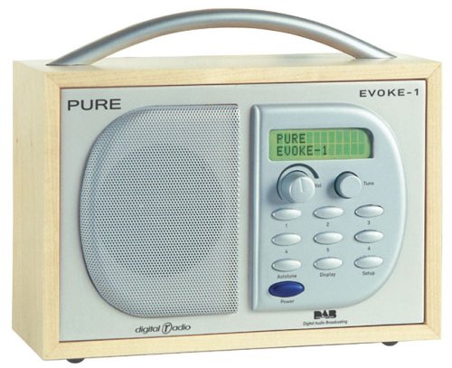 Childrens Toyshop  Electronics : Pure Evoke-1 DAB Radio