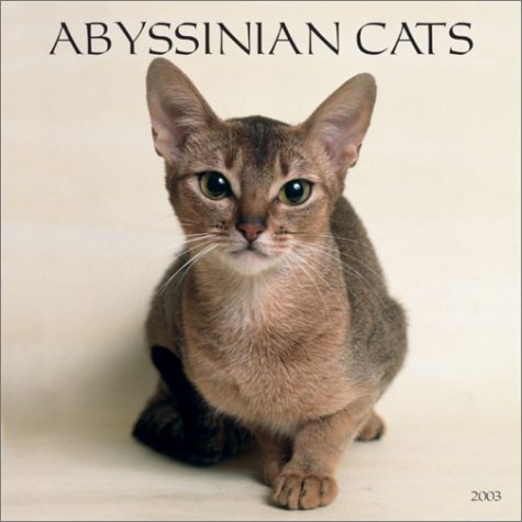Abyssinian Cats: 2003
