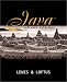 Java Software Solutions: Foundations of Program Design