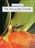 The ant on the ground