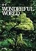 ハーモニカ&amp;ギター ゆず/WONDERFUL WORLD (ハーモニカ&amp;ギター)