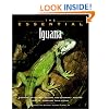 The Essential Iguana (Essential Guide)