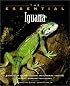The Essential Iguana (Howell Book House's Essential)