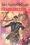 Frankenstein (Great Illustrated Classics (Abdo))