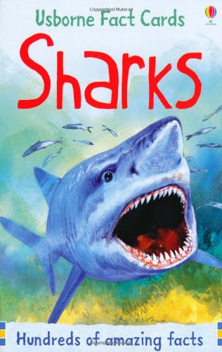 Sharks (Usborne Fact Cards)