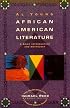African-American Literature: A Brief Introduction and Anthology (Harpercollins Literary Mosaic)