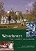 Westchester: The American Suburb