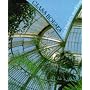 Glass Houses: A History of Greenhouses, Orangeries and Conservatories