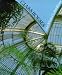 Books : Glass Houses: History of Greenhouses, Conservatories and Orangeries