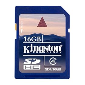Kingston Class 4 SDHC Flash Memory Card