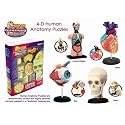 Corners Of The World 4-D Human Anatomy Puzzle #Hap-8
