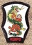 Dragon & Tiger-Kenpo Patch