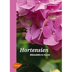 Hortensien: Blütenbälle in Pastell