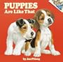 Puppies Are Like that! (Pictureback(R))