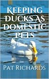 Keeping Ducks As Domestic Pets