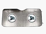 Tampa Bay Rays Metallic Sunshade