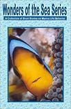 Wonders of the Sea Series [VHS]
