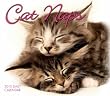 Cat Naps 2010 Desk Calendar