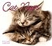 Cat Naps 2010 Desk Calendar