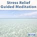 30 Minutes Stress Relief Guided Meditation