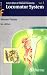 Color Atlas of Human Anatomy: Vol. 1: Locomotor System: Locomotor System v. 1 (Flexibook)