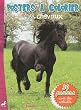 Les chevaux : Poster � colorier