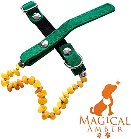 Luxury Magical Amber Flea,Tick and Pain Relief Collar For Pets / 100% Prevention - 100% Effective - No Sharp Edges, Safe,Green. Soft, Elastic, Velvet Collar for Cats and Small Dogs.