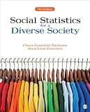 Social statistics for a diverse society