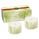 The Thymes Frasier Fir 2 Candle Set - 2 x 4 oz.