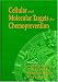 Book Cellular and Molecular Targets for Chemoprevention