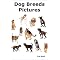Books About Dogs