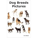 Dog Breeds Pictures: Over 100 Breeds Including Chihuahua, Pug, Bulldog, German Shepherd, Maltese, Beagle, Rottweiler, Dachshund, Golden Retriever, Pomeranian, Doberman Pinscher, Terrier and Boxer.