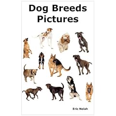 Dog Breeds Pictures: Over 100 Breeds Including Chihuahua, Pug, Bulldog, German Shepherd, Maltese, Beagle, Rottweiler, Dachshund, Golden Retriever, Pomeranian, Doberman Pinscher, Terrier and Boxer.
