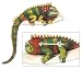 Brooch, 'Iguana in the Sun' 3 W 2 L