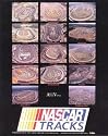 14 NASCAR Tracks - 14 NASCAR Tracks - 22x28 Aerial Photograph