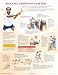 Book Cardiovascular Risk Chart (Netter Charts)