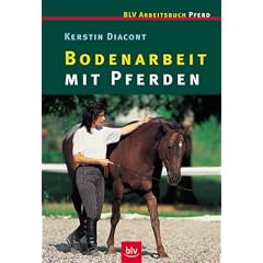 Bodenarbeit mit Pferden.